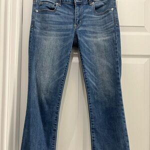 American Eagle Artist Crop Jeans